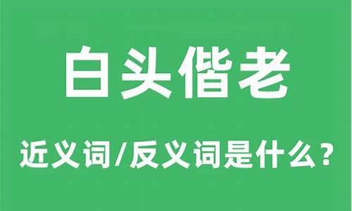 白头偕老的意思是-白头偕老的意思解释