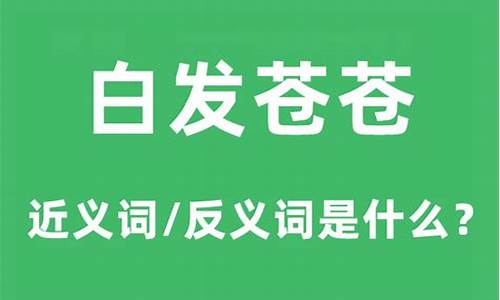 白发苍苍的意思是什么解释-白发苍苍的意思是什么