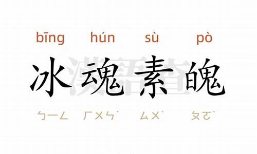 冰魂素魄是什么生肖动物-冰魂素魄是什么生肖动物呢