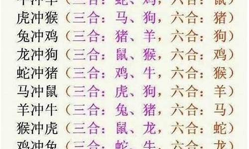 表里相依是什么生肖-表里相依小说观看