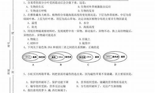 不舞之鹤的意思和造句怎么造-不舞之鹤的意思和造句