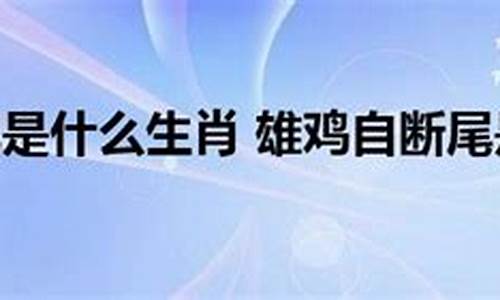 雄鸡断尾是什么动物-雄鸡断尾是什么意思